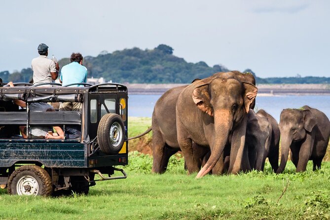 Wild Lanka Safari Adventure